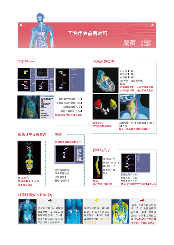 人體功能掃描儀產(chǎn)品報告