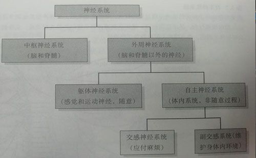 精神壓力分析儀