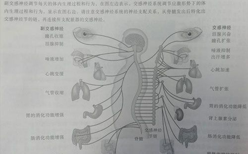 精神壓力分析儀