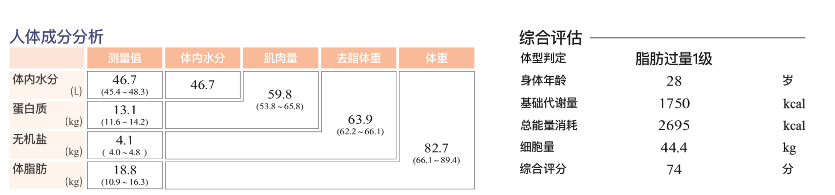 人體成分分析儀