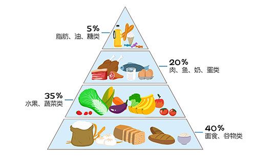 人體成分分析儀