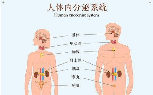 精神壓力分析儀