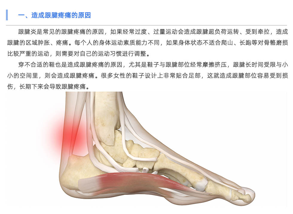 定制鞋墊