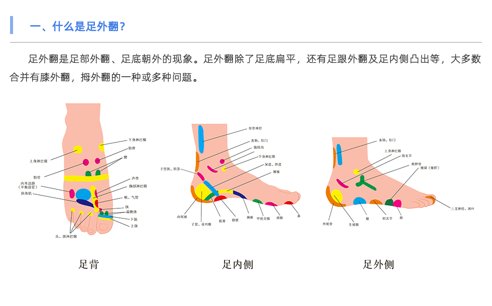 足底壓力分析系統(tǒng)