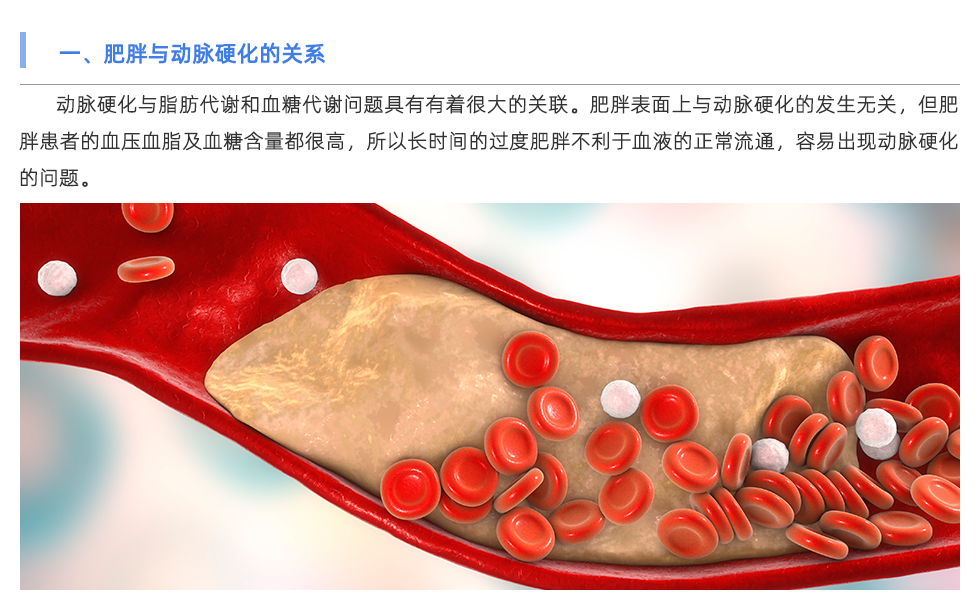 動脈硬化檢測儀