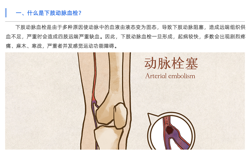 動脈硬化檢測儀