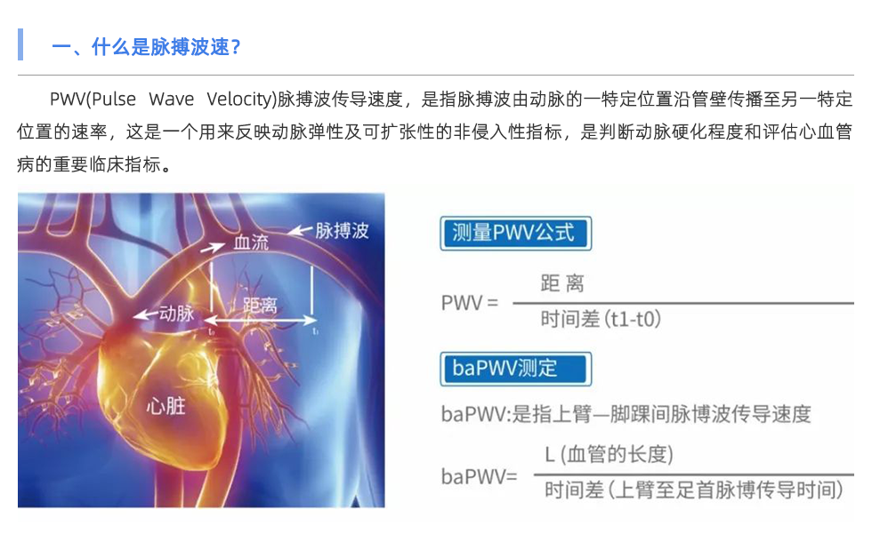 脈搏波速測定儀