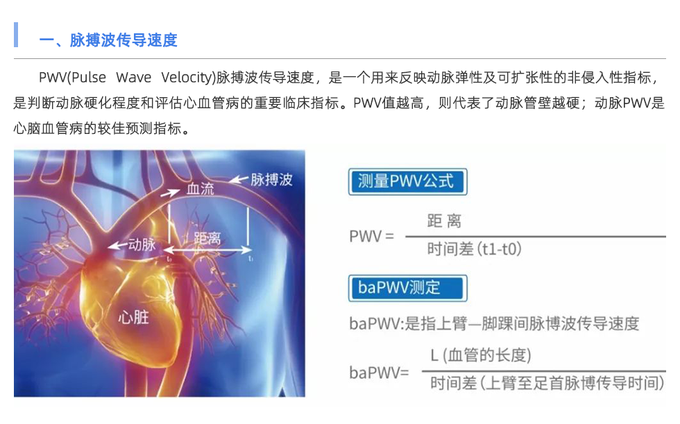 脈搏波速測定儀