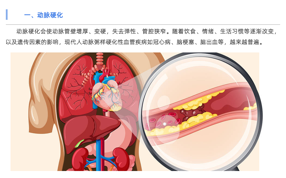 動(dòng)脈硬化檢測(cè)儀