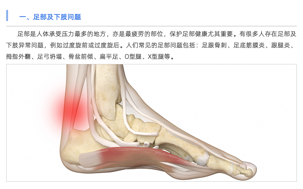 步態(tài)分析儀