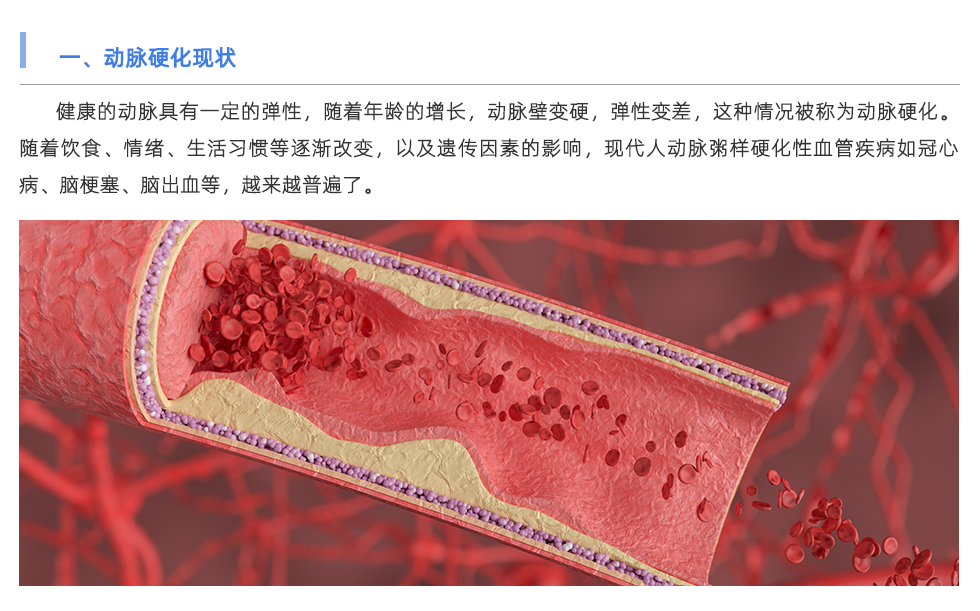 動(dòng)脈硬化分析儀