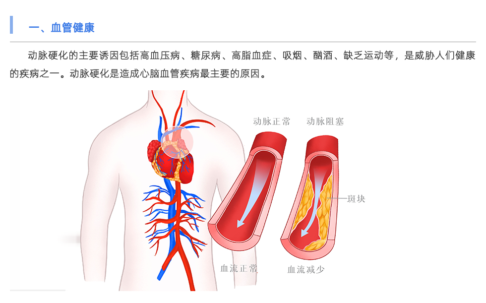 動脈硬化檢測儀