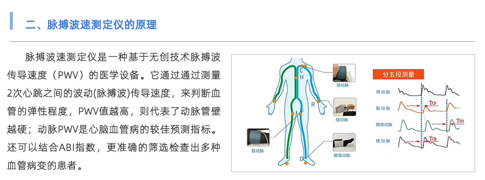 脈搏波速測定儀