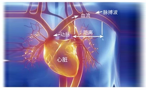 動(dòng)脈硬化檢測(cè)儀