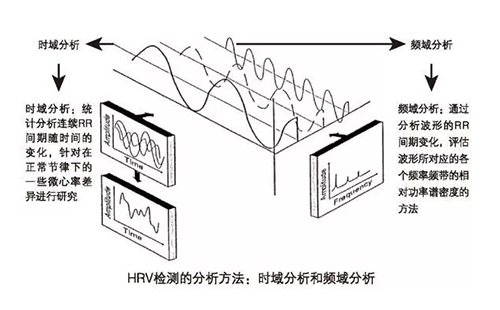 心率變異檢測儀