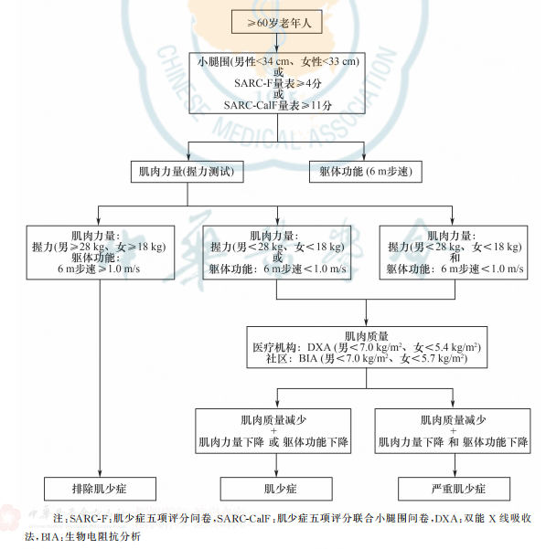 肌少癥評(píng)估